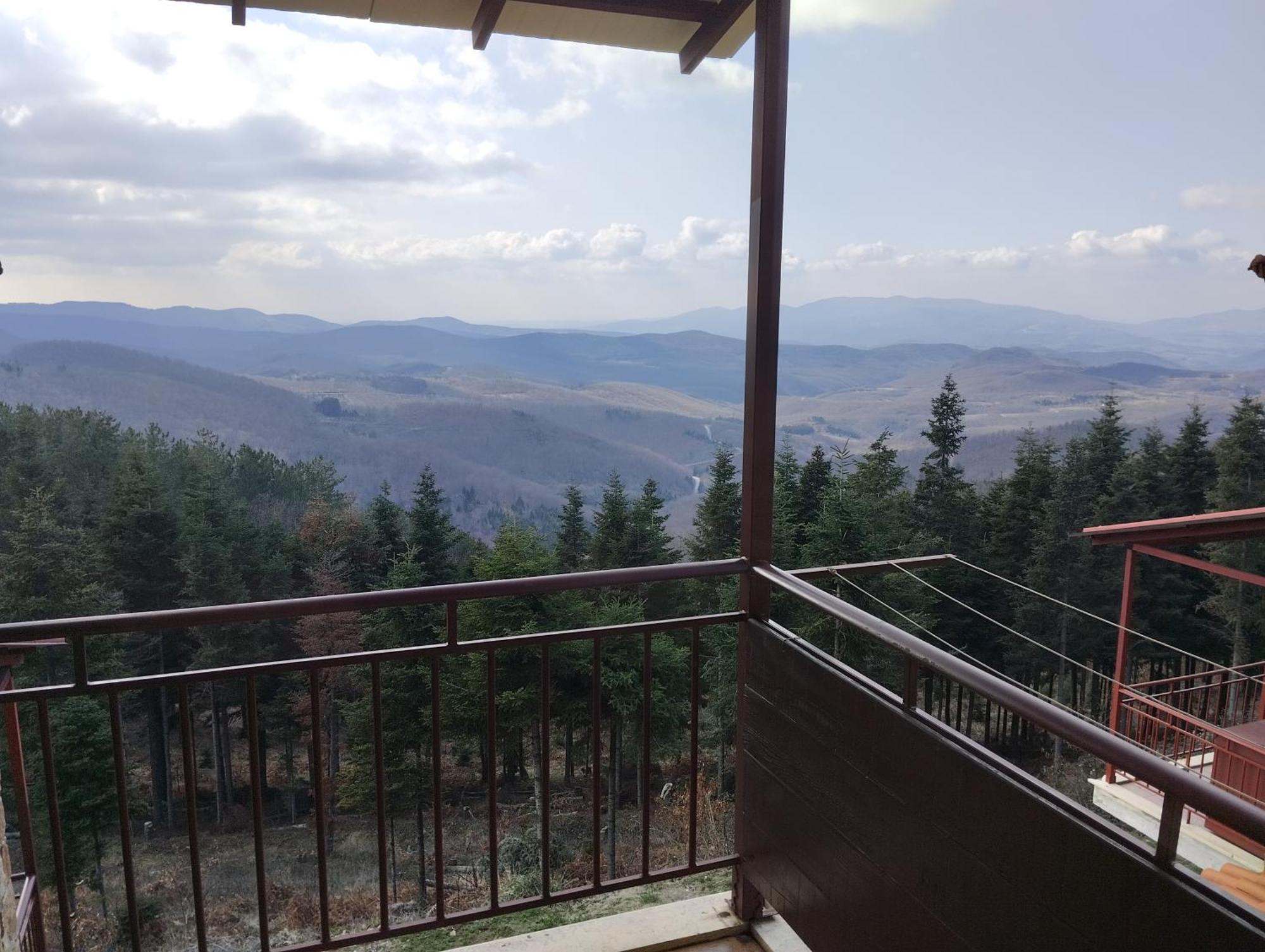 Κατάλυμα σε φάρμα ελατόδασος
