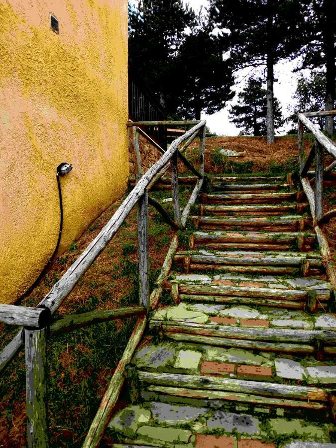 Bauernhof Elatodasos *